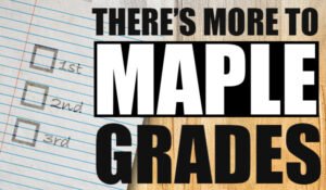 There's More to Maple Grades